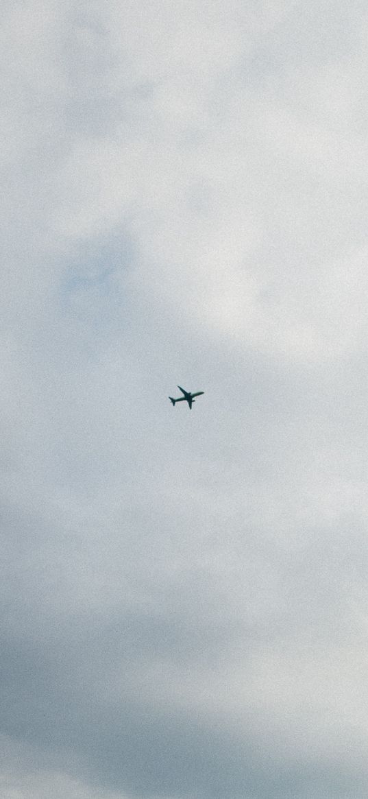 plane, flight, height, sky, gray sky