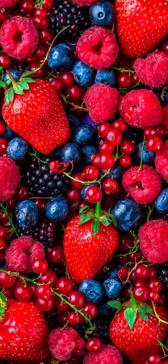 berries, strawberries, blueberries, blackberries, currants, raspberries