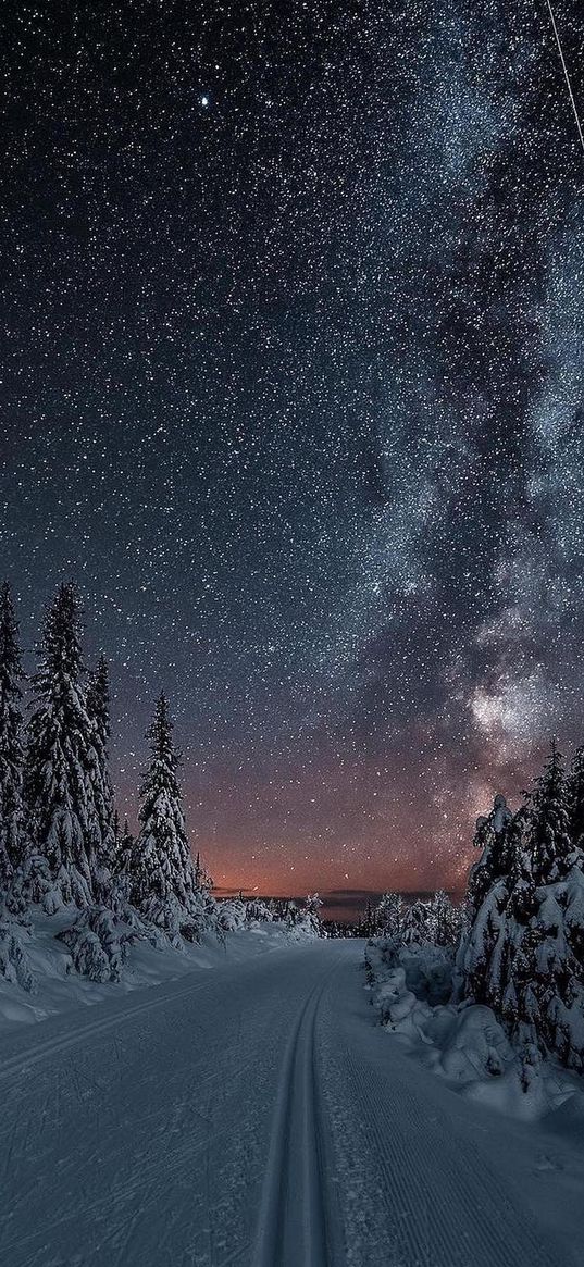 stars, path, night sky, mountain, snow, stargazing, trees