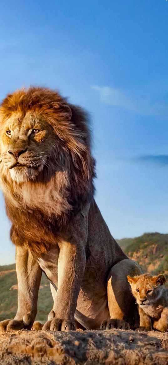 the lion king, mufasa, simba, disney, film, lion, lion cub, lionet, animals