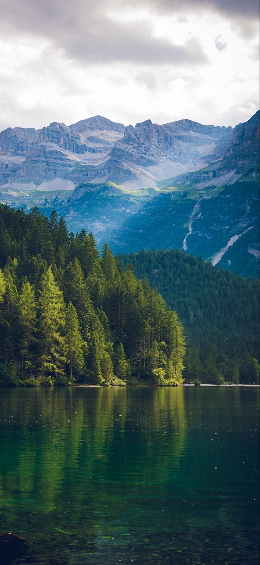 nature, forest, lake, mountains, clear water