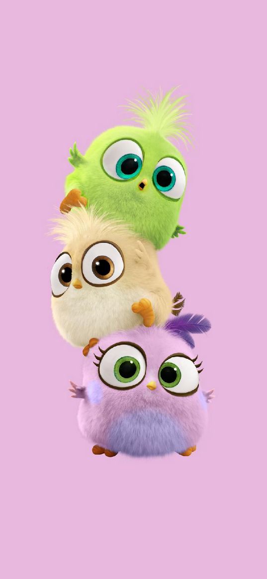 angry, birds, angry birds, cute, small, cartoon, lilac background, purple background