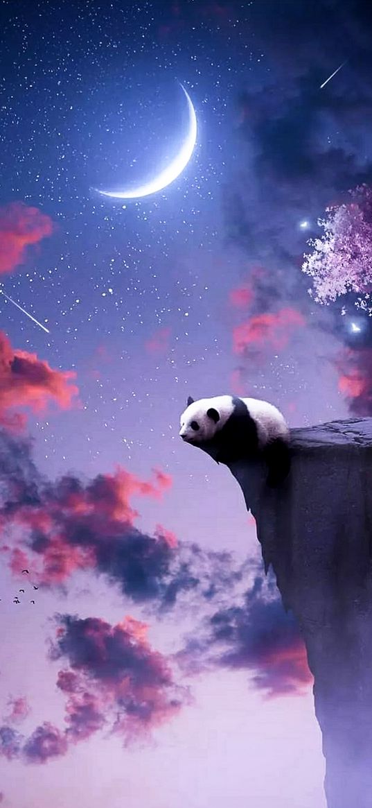 panda, moon, clouds, comet, rock, night, art