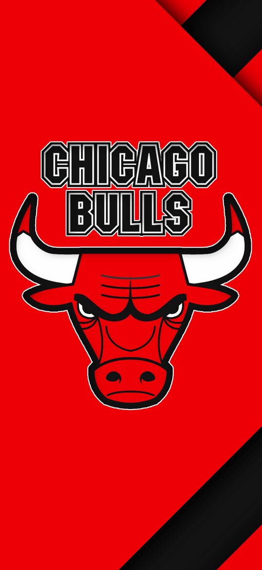 chicago bulls, basketball, emblem, bull, red