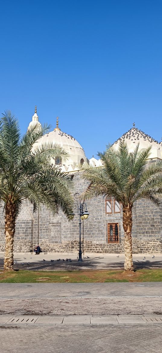 mosque, city, palm trees, madina, islam