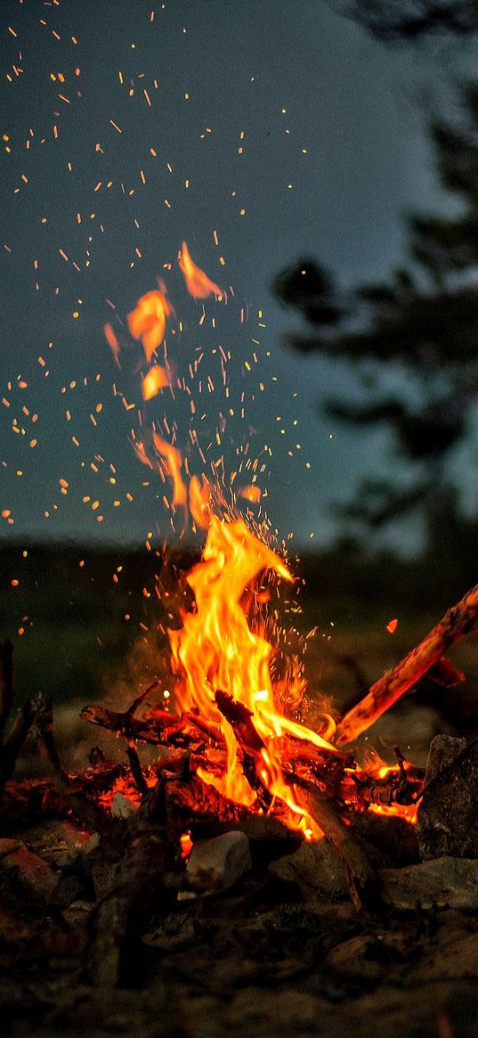 bonfire, fire, flame, night, nature