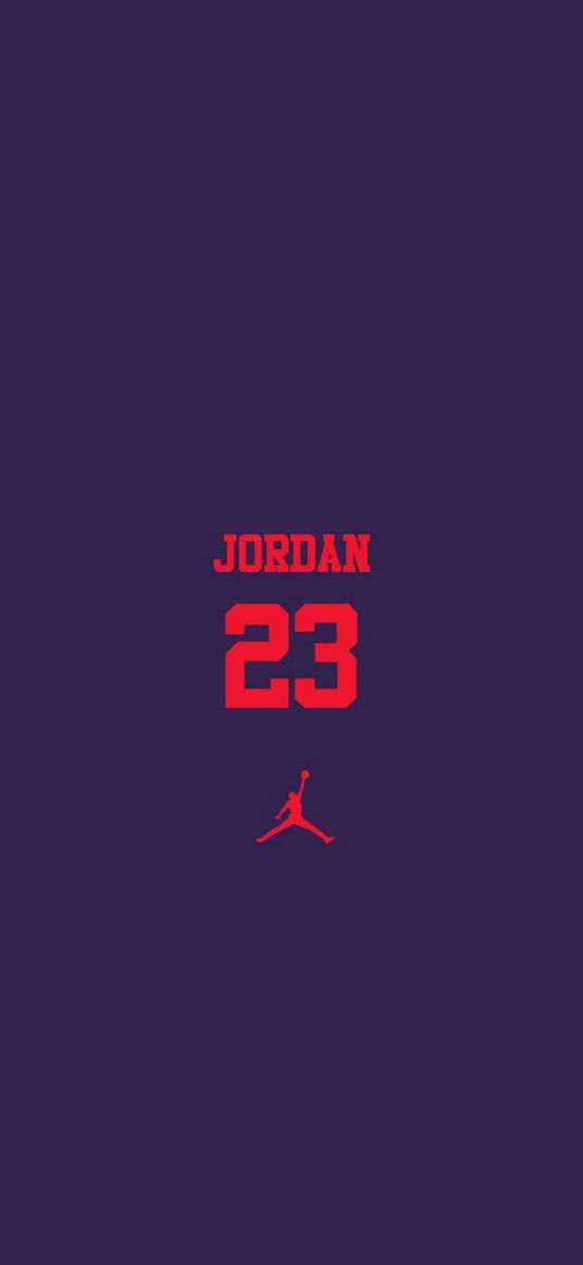 air jordan, logo, basketball, 23