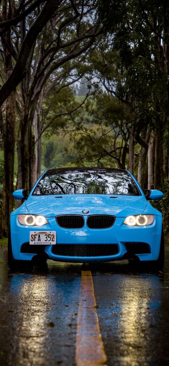 bmw m3, bmw, auto, blue auto, rain, road, forest