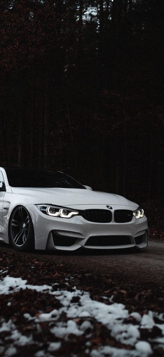 bmw m4, bmw, car, snow, trees, nature, white