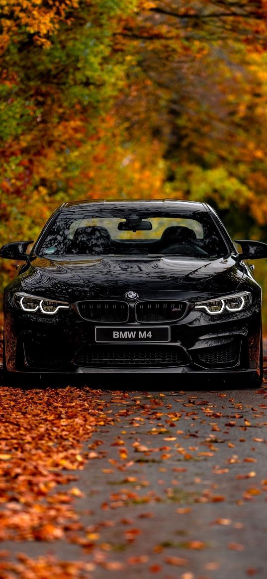 bmw, autumn, black, bmw m4