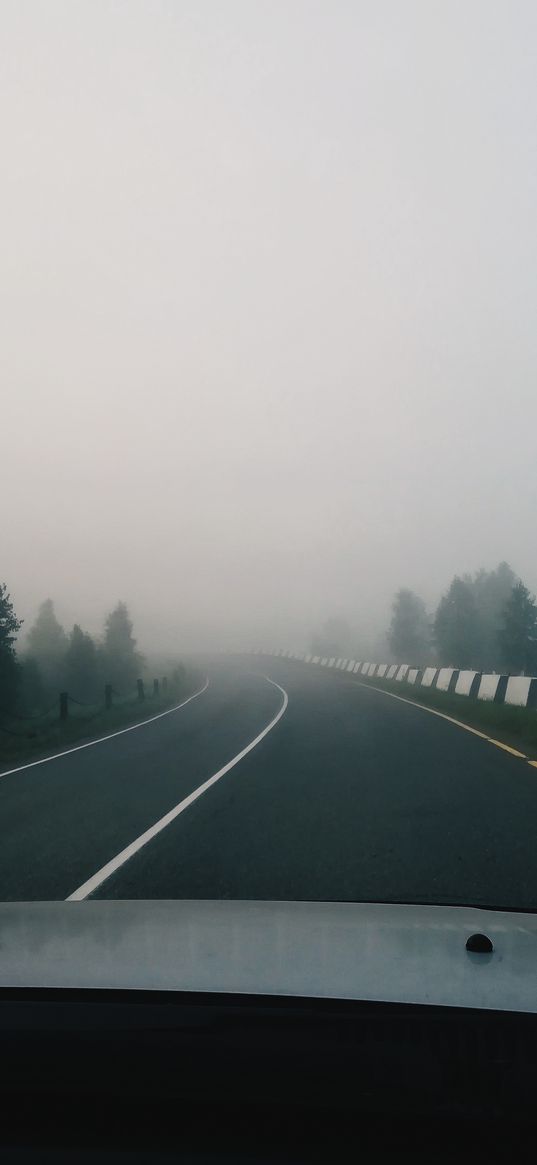 road, track, morning, fog, trip, window view, forest