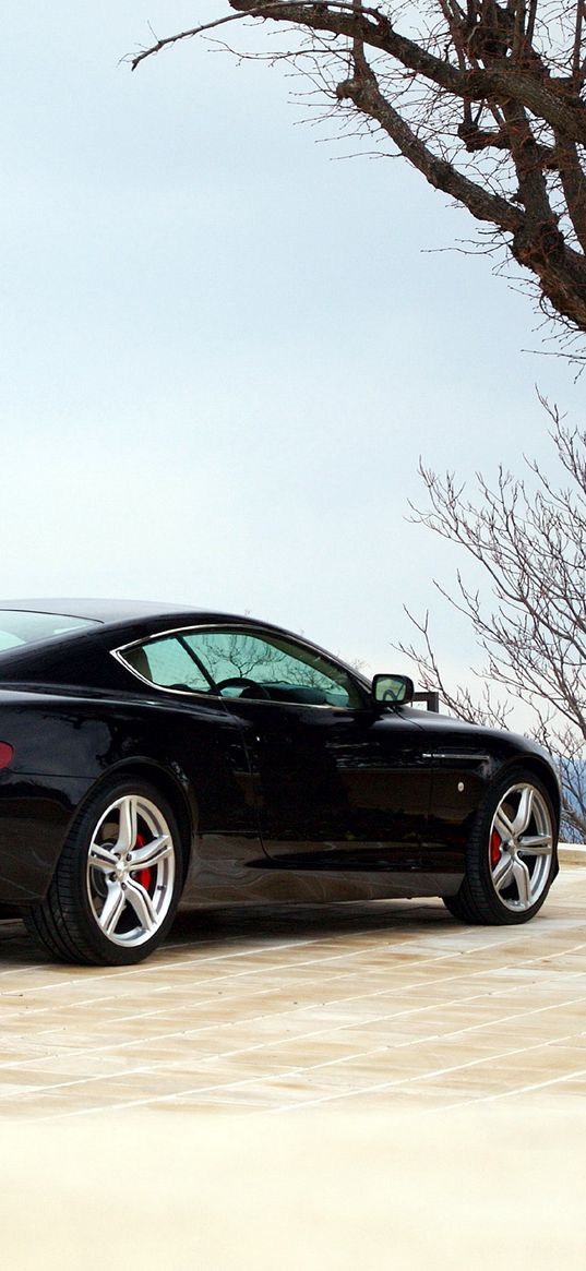 aston martin, db9, 2006, black, side view, style, sports, auto, building, tree, sky