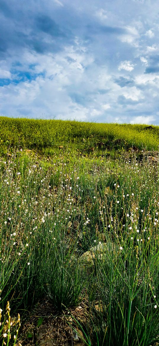 sky, green, natural, grasses, clouds