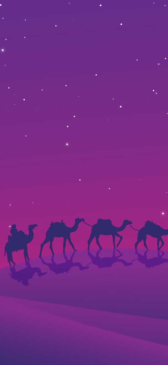 digital art, desert, camels, night, horizon, stars, purple