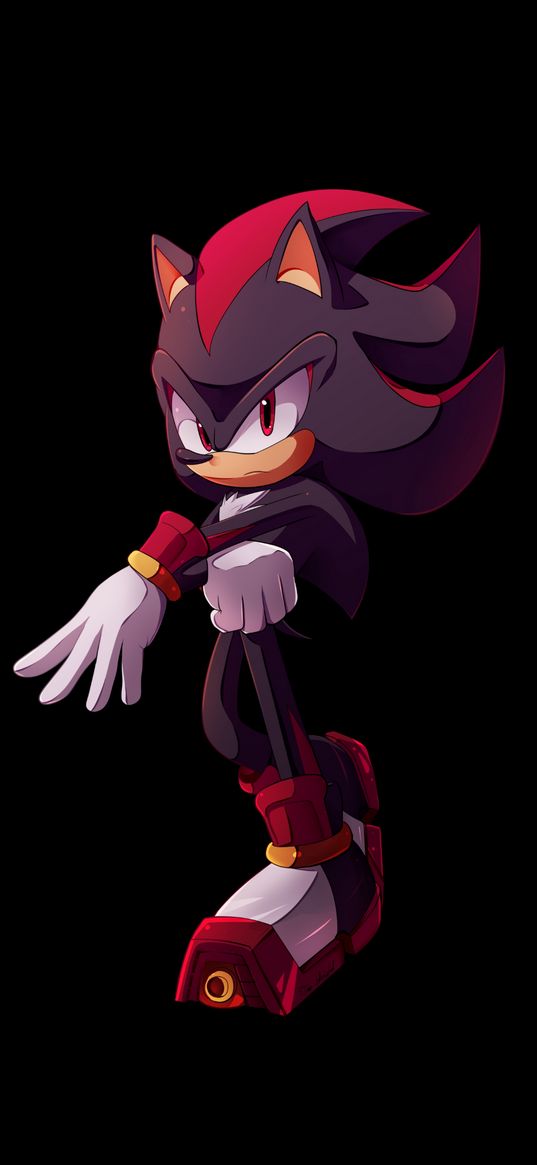 video game, character, sonic, shadow fox