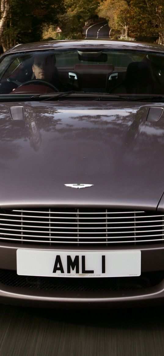 aston martin, db9, 2004, gray, front view, style, sports, cars, speed, trees