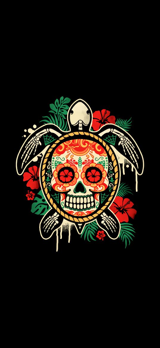 mexican skull, turtle, art