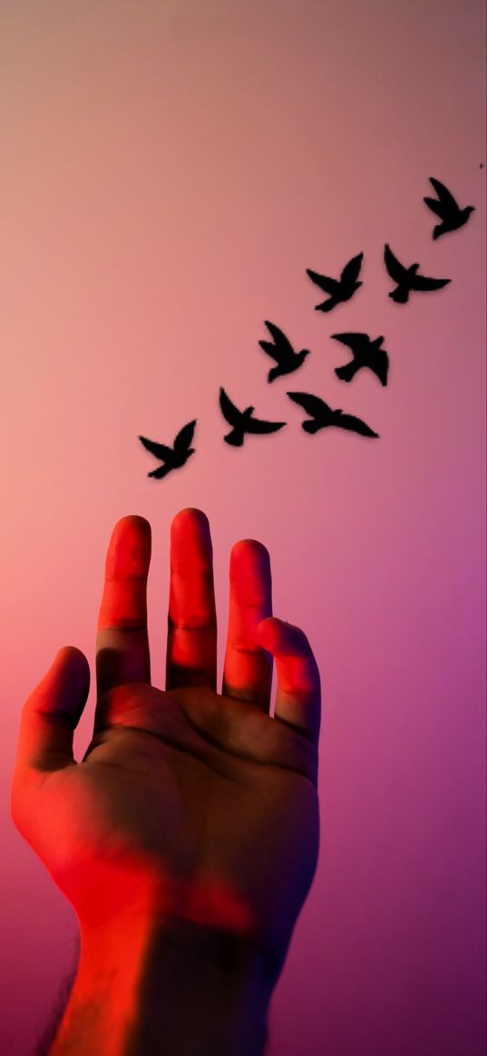 hand, birds, light, pink light