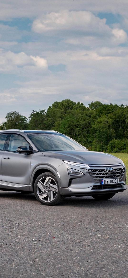 hyundai, hyundai nexo, auto, silver auto, road, tree