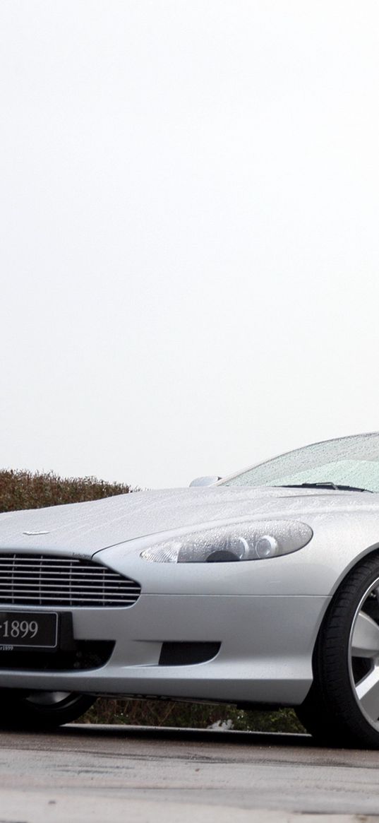 aston martin, db9, 2007, silver metallic, side view, style, sports, cars, trees, shrubs