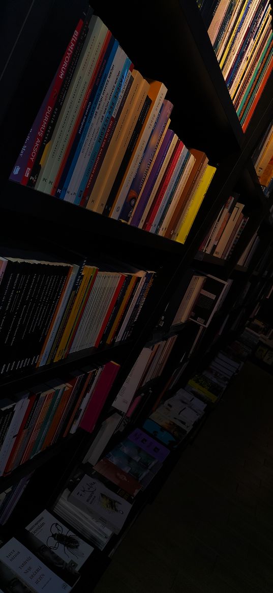 books, shelves, library, shadow, darkness, atmosphere