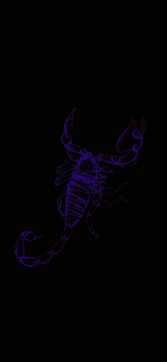 scorpion, silhouette, neon, blue, black background, art