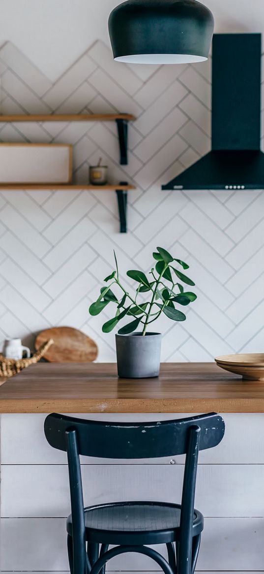 chair, desk, plant, wooden