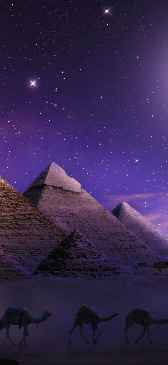 desert, camels, pyramids, night, starry sky