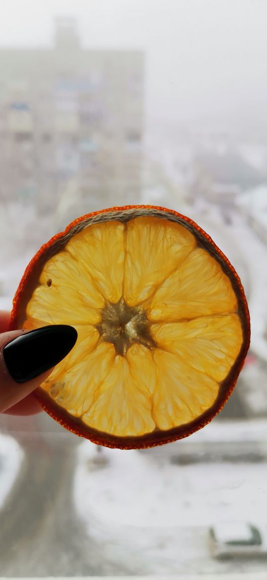 orange, winter, dried fruit