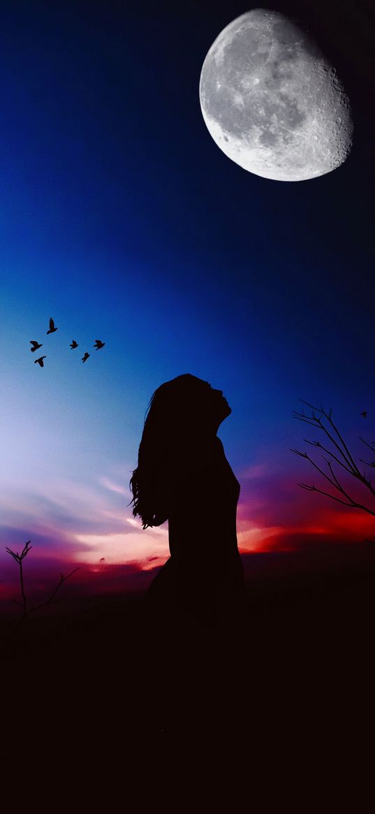 girl, silhouette, twilight, evening, sky, moon, birds