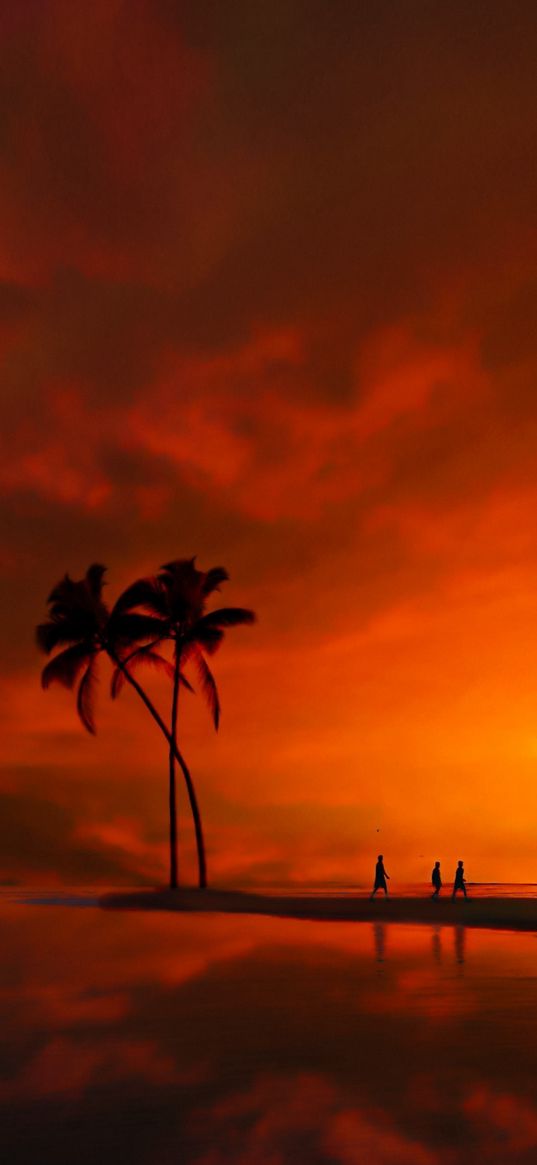 sunset, man, people, tree, coconut tree, sea, beach, sky, orange