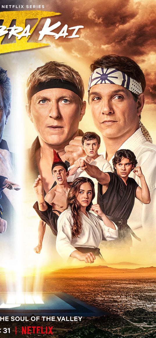 cobra kai, netflix, tv series, karate