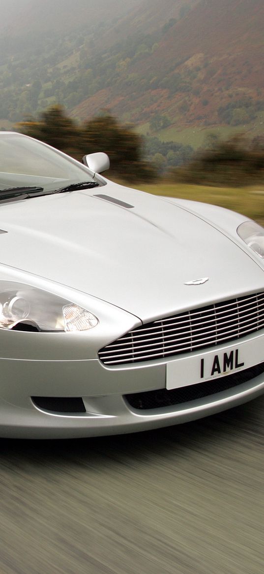 aston martin, db9, 2004, silver metallic, front view, style, speed, nature