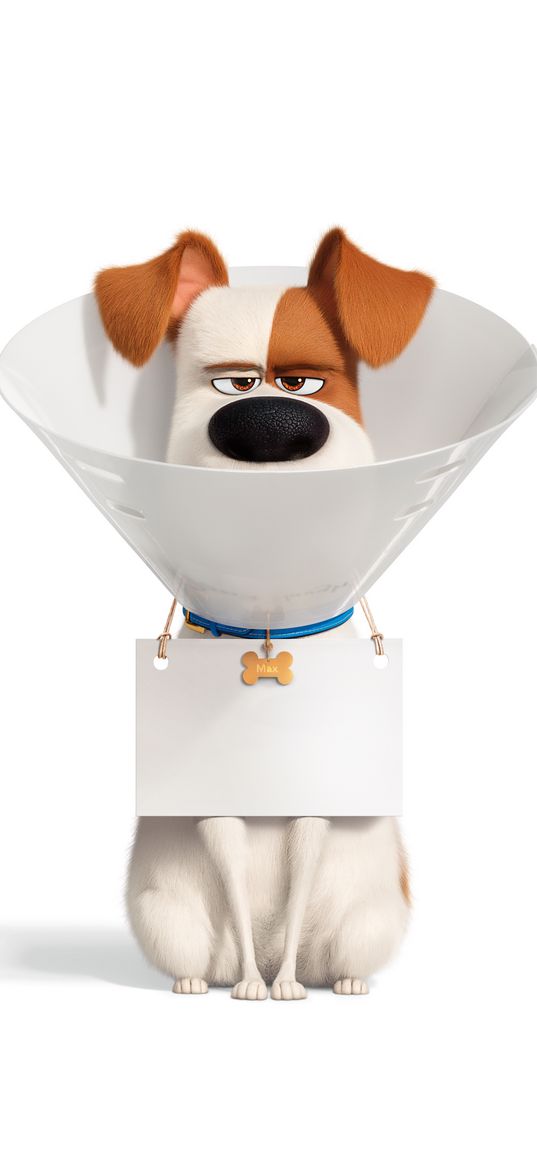 dog, max, the secret life of pets