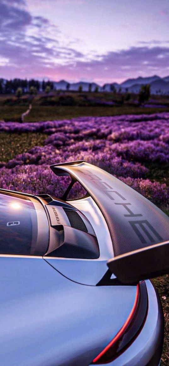 porsche, auto, white auto, spoiler, field, flowers, nature