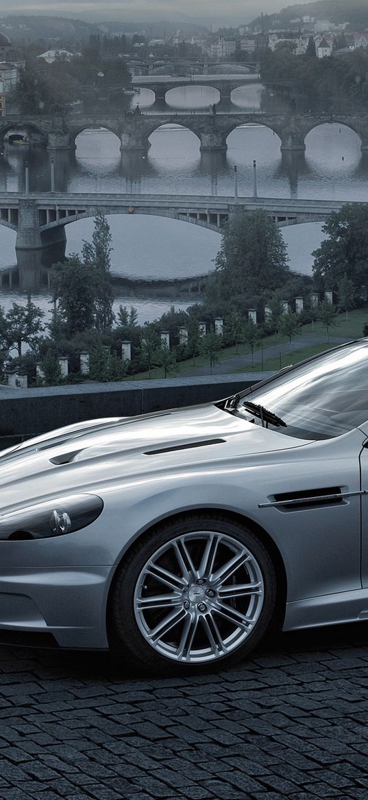 aston martin, dbs, 2008, gray metallic, side view, city, bridge, nature