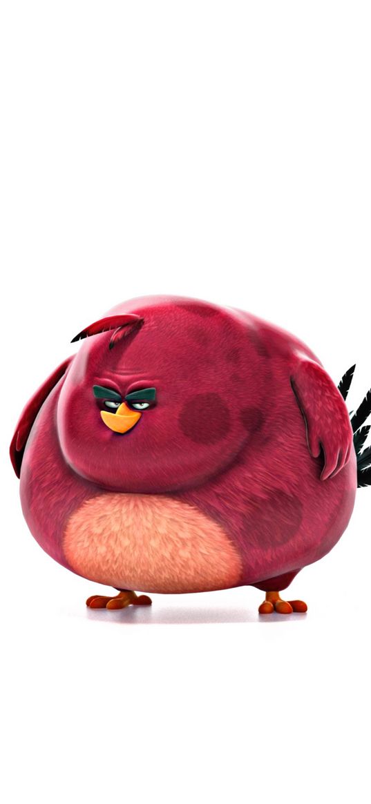 angry birds, bird, thick, red, white background