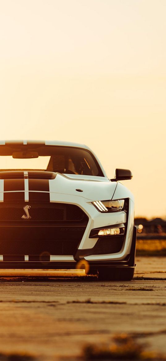 ford mustang, ford, shelby, sports car, car, white