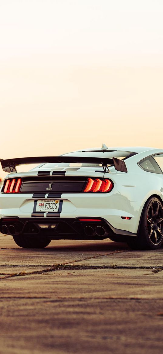 ford mustang, ford, shelby, sports car, car, rear view, white