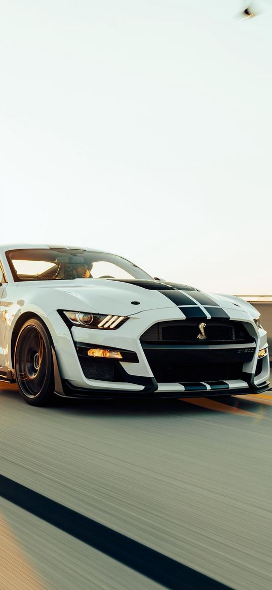 ford mustang, ford, shelby, sports car, car, road, white