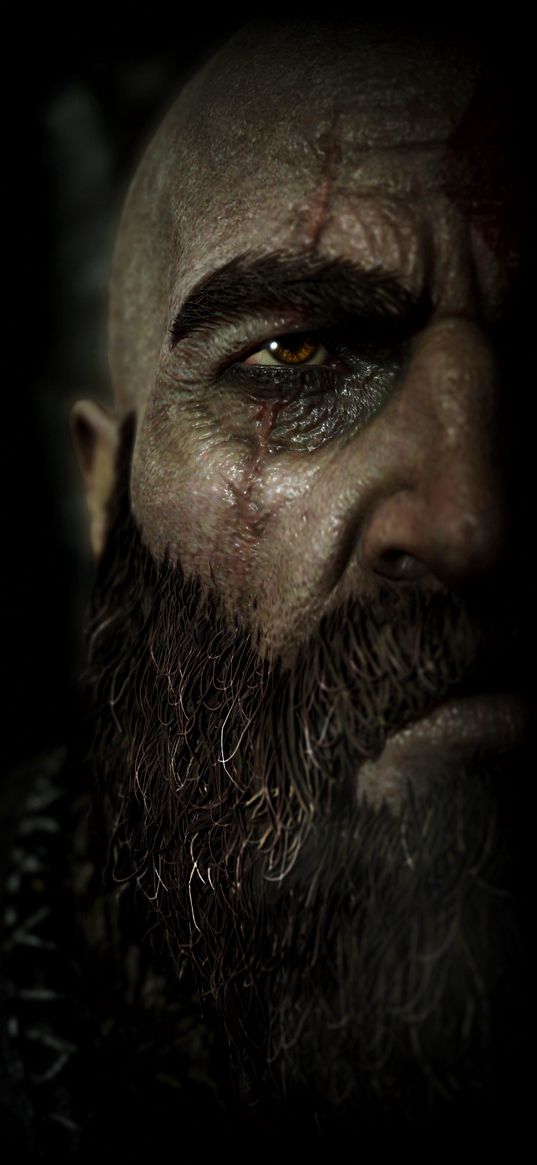 kratos, god of war, video game, man, face, scar