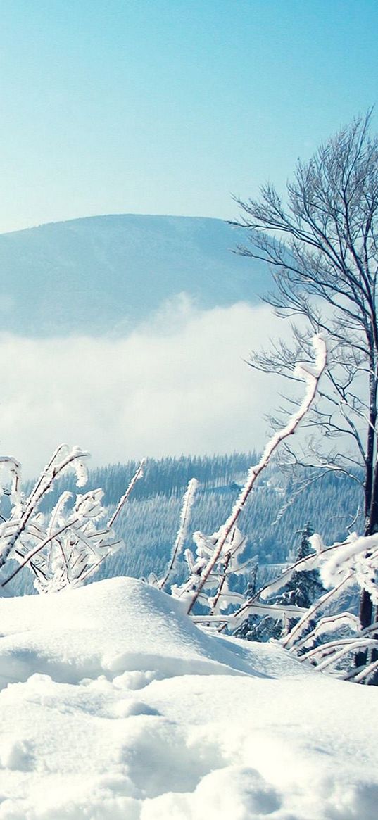 winter, landscape, nature, cold, white