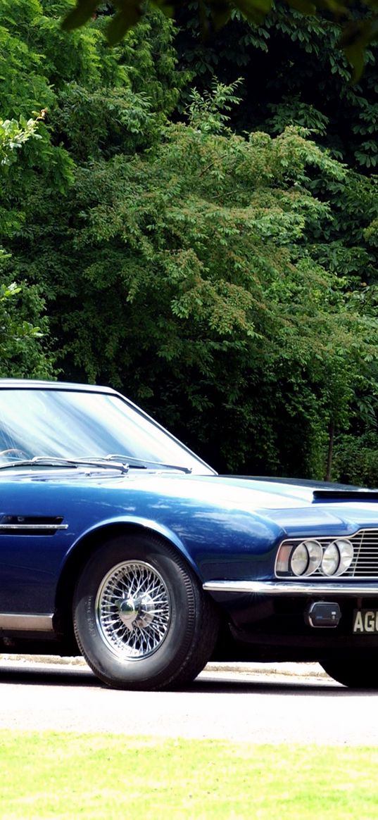 aston martin, dbs, 1967, blue, side view, vintage, cars, trees