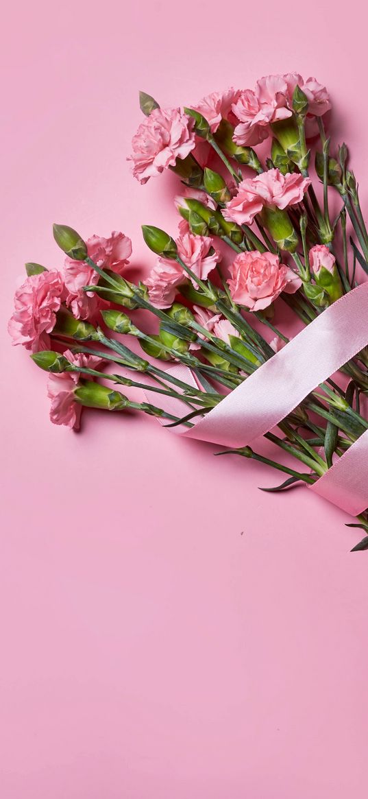 carnations, flowers, bouquet, ribbon, pink