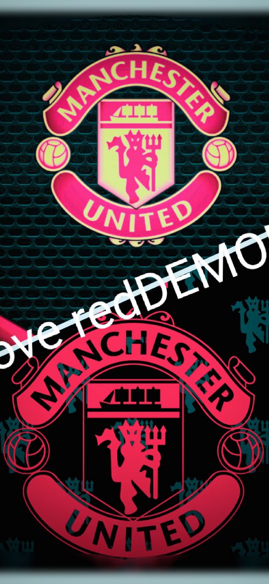 manchester united, emblem, red demons, inscription