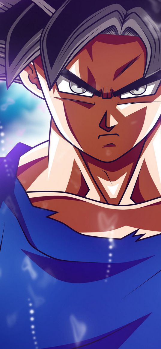 goku, dragon ball, ultra instinct, anime, character