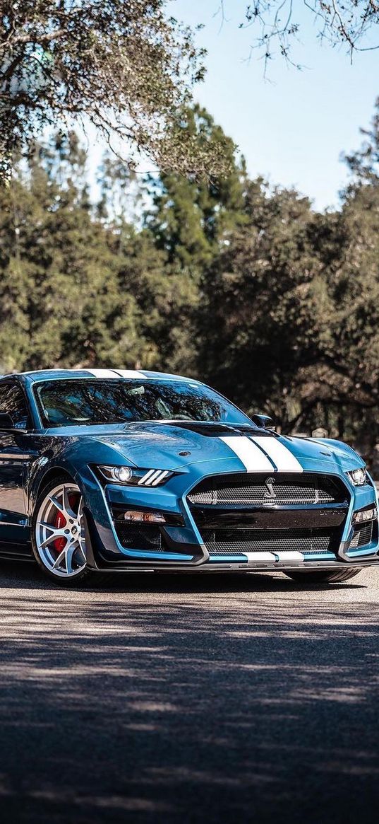 ford, ford mustang, auto, blue auto, road, trees