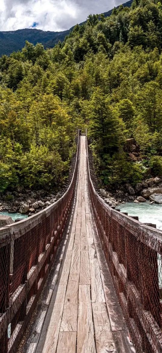 bridge, road, forest, perspective, nature