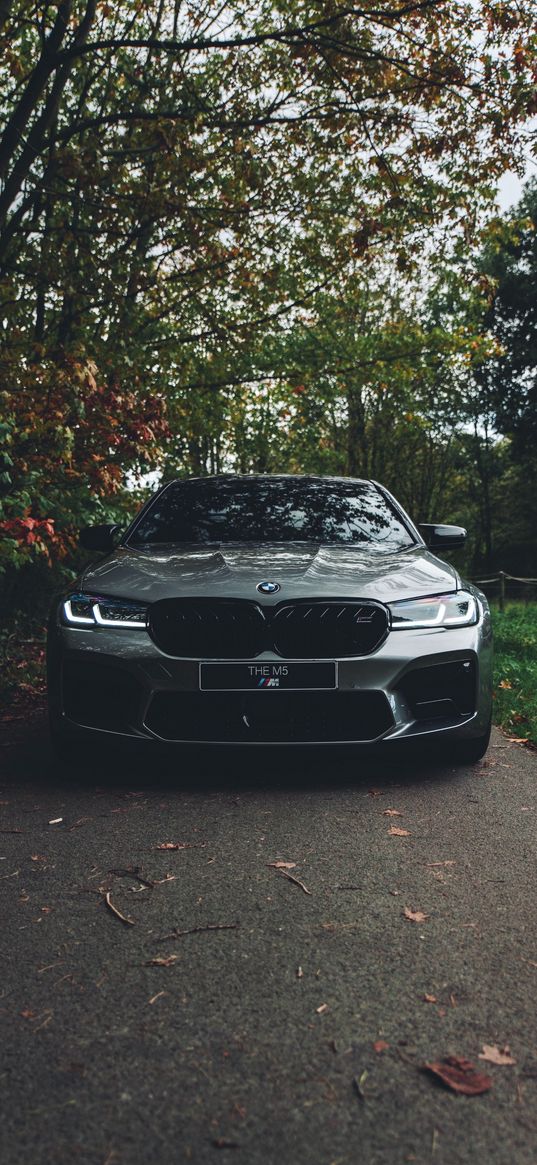 bmw, bmw m5, car, forest, green