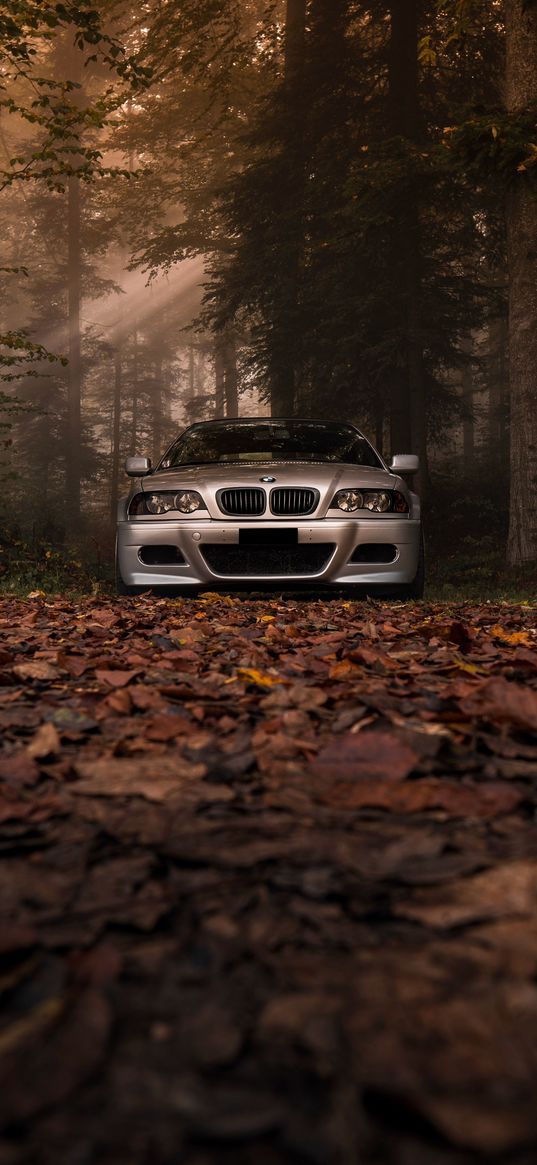 bmw, bmw m3, car, fall, autumn, leaves